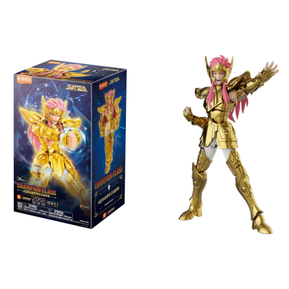 SAINT SEIYA AQUARIUS CAMUS3